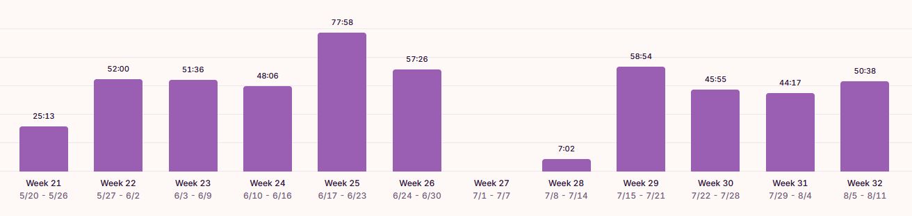 How I Spent My Time In Summer 2024